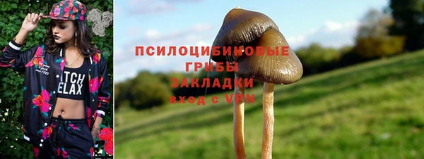 2c-b Алзамай